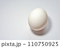 タマゴ 110750925