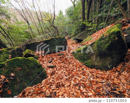 山之観音・御来迎の滝登山道【 香川県小豆郡土庄町大部】小豆島2 山之観音・御来迎の滝登山道【 香川県小豆郡土庄町大部】小豆島2 110751003