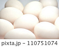 タマゴ 110751074