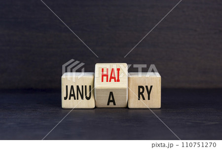 Januhairy or January symbol. Concept words Januhairy or January on beautiful wooden blocks. Beautiful black table black background. Social issues Januhairy or January concept. Copy space. Januhairy or January symbol. Concept words Januhairy or January on beautiful wooden blocks. Beautiful black table black background. Social issues Januhairy or January concept. Copy space. 110751270