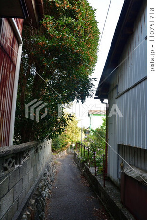 弥彦の路地裏（新潟県） 110751718
