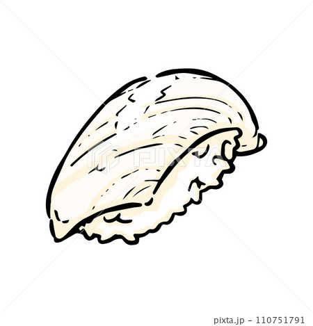 イカの寿司のの手描きイラスト イカの寿司のの手描きイラスト 110751791