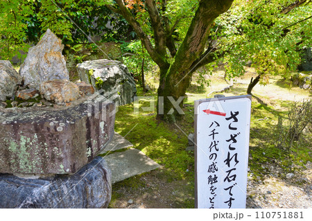 勧修寺　さざれ石（京都市山科区） 110751881