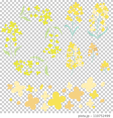 一組簡單變形的春天般的油菜花彩色插畫 一組簡單變形的春天般的油菜花彩色插畫 110752499