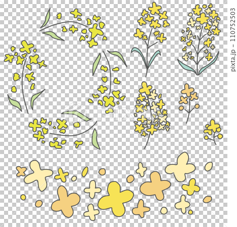 A set of color illustrations of simply deformed spring-like rape blossoms A set of color illustrations of simply deformed spring-like rape blossoms 110752503