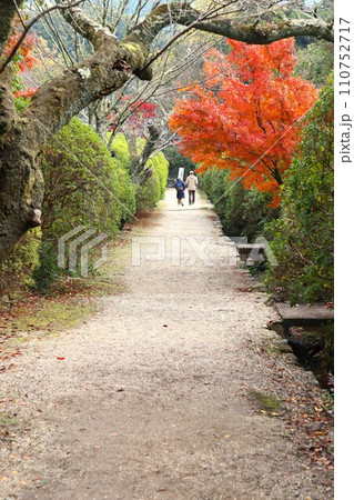 長岳寺紅葉 長岳寺紅葉 110752717