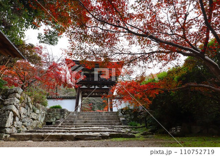 長岳寺紅葉 長岳寺紅葉 110752719