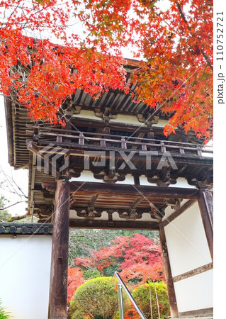 長岳寺紅葉 110752721