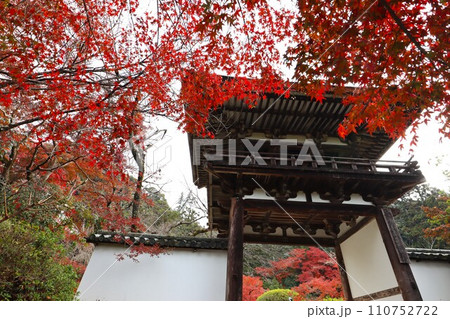 長岳寺紅葉 長岳寺紅葉 110752722