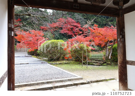 長岳寺紅葉 110752723
