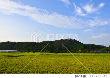 JR九州、佐世保線早岐駅から高橋駅までの車窓風景 110752736