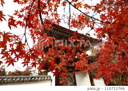 長岳寺紅葉 110752766
