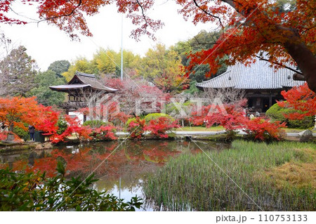 長岳寺紅葉 110753133