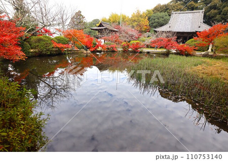 長岳寺紅葉 110753140