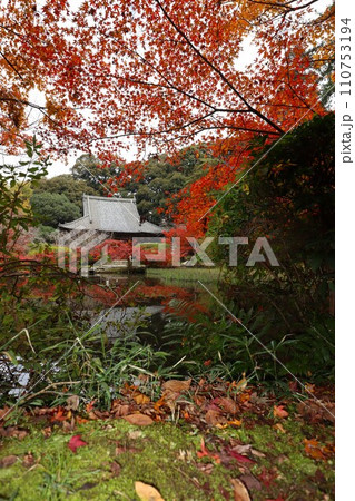 長岳寺紅葉 長岳寺紅葉 110753194