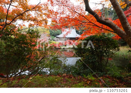 長岳寺紅葉 110753201