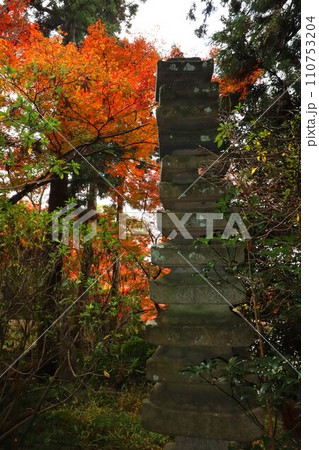 長岳寺紅葉 110753204