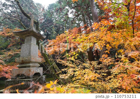 長岳寺紅葉 長岳寺紅葉 110753211