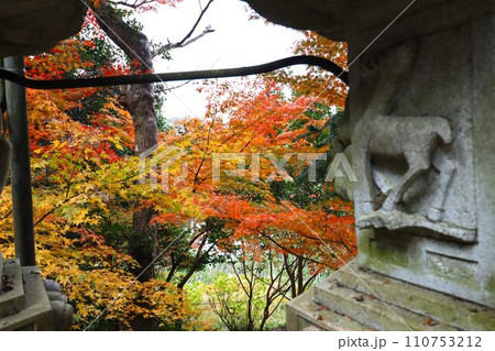 長岳寺紅葉 長岳寺紅葉 110753212