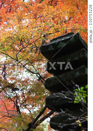 長岳寺紅葉 長岳寺紅葉 110753226