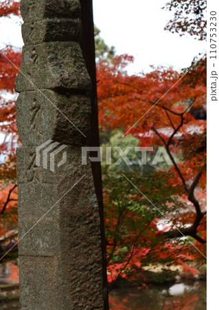 長岳寺紅葉 長岳寺紅葉 110753230