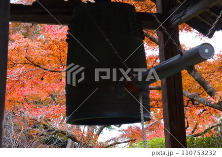長岳寺紅葉 長岳寺紅葉 110753232
