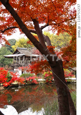 長岳寺紅葉 110753237