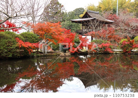 長岳寺紅葉 長岳寺紅葉 110753238