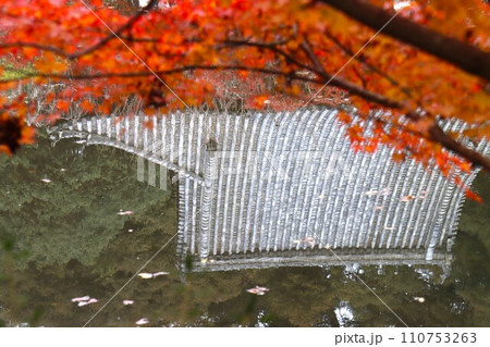 長岳寺紅葉 長岳寺紅葉 110753263