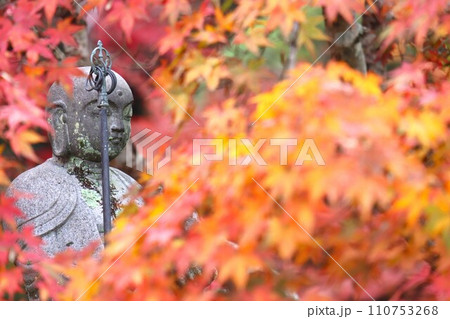 長岳寺紅葉 110753268