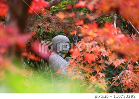 長岳寺紅葉 長岳寺紅葉 110753295