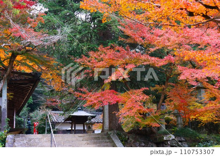 長岳寺紅葉 長岳寺紅葉 110753307