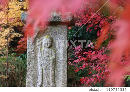 長岳寺紅葉 110753335