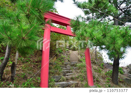 弁天岩(新潟県) 弁天岩(新潟県) 110753377