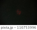 バラ星雲 110753996
