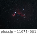 馬頭星雲と燃える木 110754001