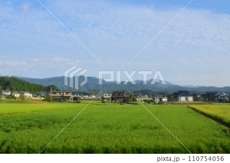 JR九州、高橋駅(佐世保線)から佐賀駅(長崎本線)までの車窓風景(朝) 110754056