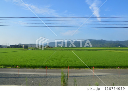 JR九州、高橋駅(佐世保線)から佐賀駅(長崎本線)までの車窓風景(朝) 110754059