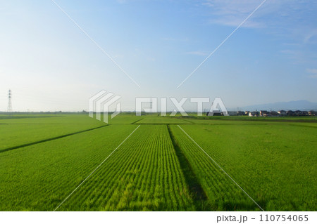 JR九州、高橋駅(佐世保線)から佐賀駅(長崎本線)までの車窓風景(朝) 110754065