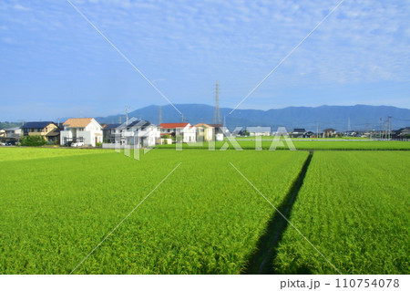 JR九州、高橋駅(佐世保線)から佐賀駅(長崎本線)までの車窓風景(朝) 110754078