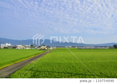 JR九州、高橋駅(佐世保線)から佐賀駅(長崎本線)までの車窓風景(朝) JR九州、高橋駅(佐世保線)から佐賀駅(長崎本線)までの車窓風景(朝) 110754090