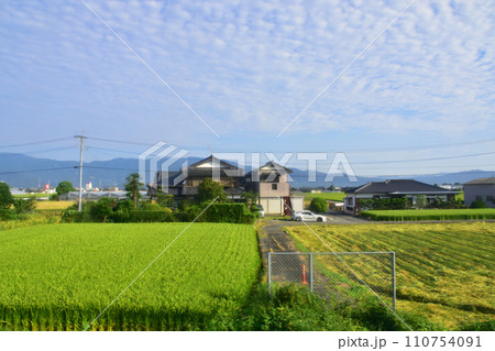 JR九州、高橋駅(佐世保線)から佐賀駅(長崎本線)までの車窓風景(朝) JR九州、高橋駅(佐世保線)から佐賀駅(長崎本線)までの車窓風景(朝) 110754091
