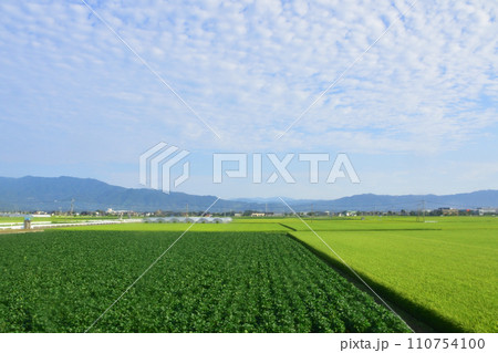 JR九州、高橋駅(佐世保線)から佐賀駅(長崎本線)までの車窓風景(朝) 110754100