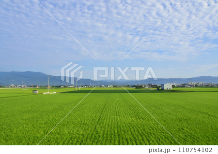 JR九州、高橋駅(佐世保線)から佐賀駅(長崎本線)までの車窓風景(朝) JR九州、高橋駅(佐世保線)から佐賀駅(長崎本線)までの車窓風景(朝) 110754102