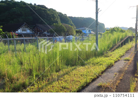 JR九州、高橋駅(佐世保線)から佐賀駅(長崎本線)までの車窓風景(朝) JR九州、高橋駅(佐世保線)から佐賀駅(長崎本線)までの車窓風景(朝) 110754111