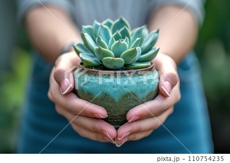 person holding succulent in a pot 110754235