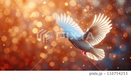 the white dove in the sky with lights behind it 110754253