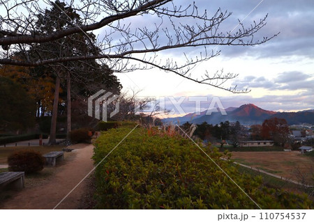 丹波篠山 110754537