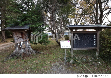 丹波篠山 丹波篠山 110754542
