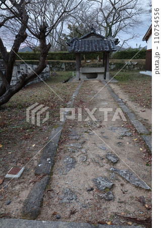 丹波篠山 110754556